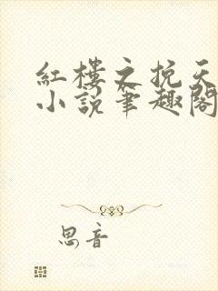 红楼之挽天倾 小说笔趣阁