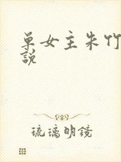 单女主朱竹清小说封面