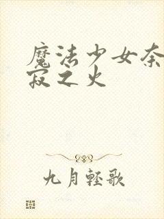 魔法少女奈叶静寂之火