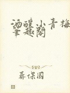 酒酿小青梅po笔趣阁