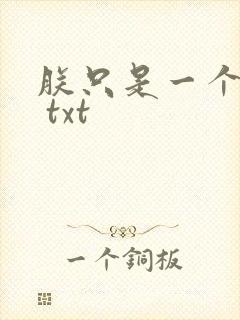 朕只是一个演员 txt封面