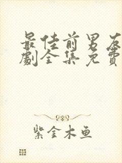 最佳前男友电视剧全集免费观看封面