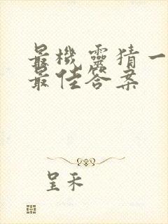 最机灵猜一生肖最佳答案