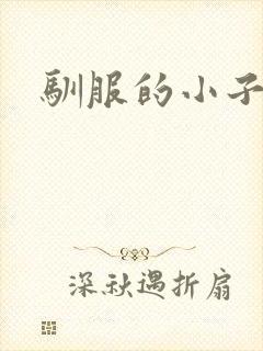 驯服的小子4封面