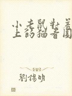 小老鼠对着电脑上的猫看图写话