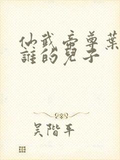 仙武帝尊叶辰是谁的儿子