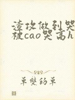 渣攻做到哭高h被cao哭高h