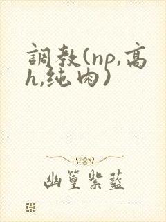 调教(np,高h,纯肉)