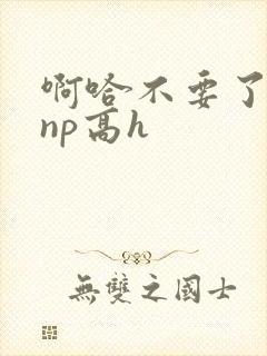 啊哈不要了男男np高h