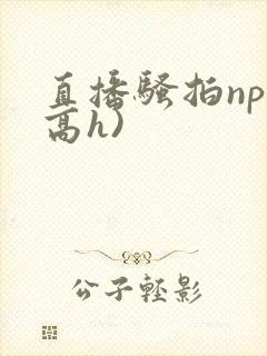 直播骚拍np(高h)