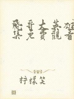 飞哥大英雄40集免费观看高清