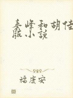 秦峰和胡佳芸正版小说封面