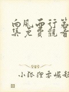 向风而行第19集免费观看全集