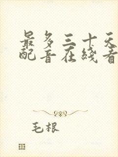 最多三十天国语配音在线看