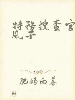 特务搜查官レイ风子