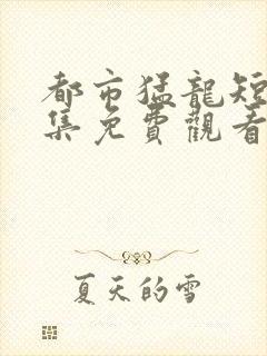 都市猛龙短剧全集免费观看高清