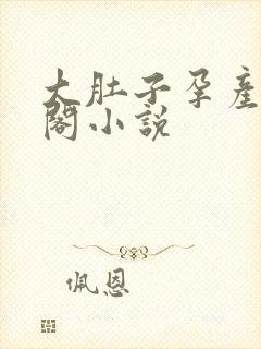 大肚子孕产笔趣阁小说