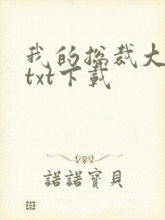 我的总裁大老婆txt下载封面