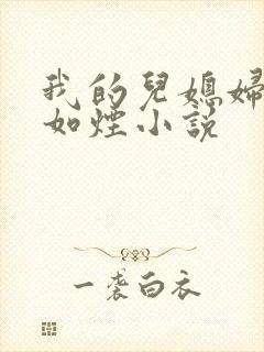 我的儿媳妇是柳如烟小说封面