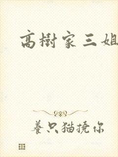 高树家三姐妹封面