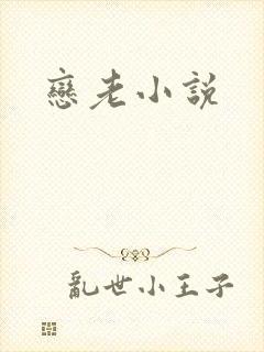 恋老小说封面