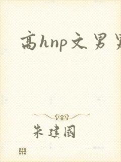 高hnp文男男