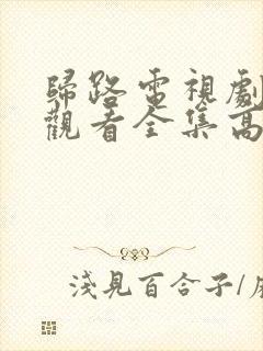 归路电视剧免费观看全集高清完整版