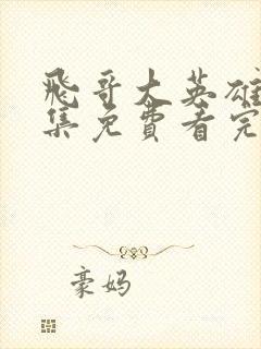 飞哥大英雄40集免费看完整版封面