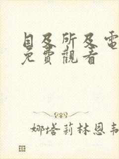 目及所及电视剧免费观看