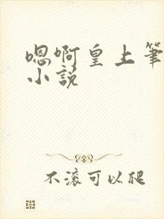 嗯啊皇上笔趣阁小说