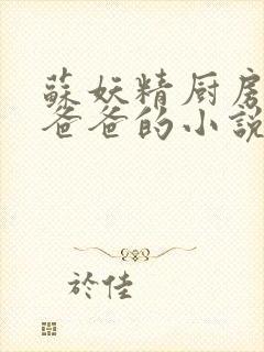 苏妖精厨房爹爹爸爸的小说