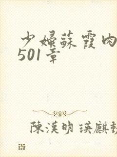 少妇苏霞肉欲第501章