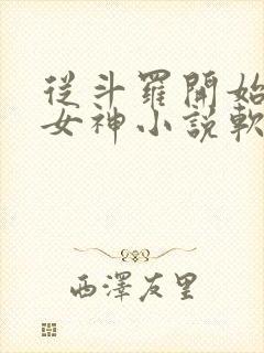 从斗罗开始俘获女神小说软件