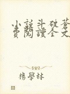 小说斗破苍穹免费阅读全文无窗口