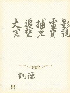 大追捕电影在线完整免费观看国语