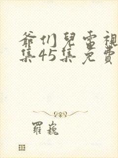 爷们儿电视剧全集45集免费封面