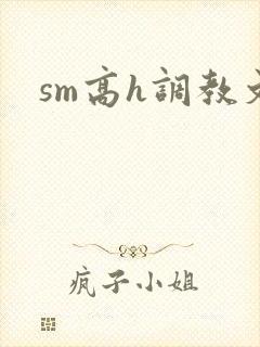 sm高h调教文封面
