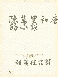 陈万里和唐嫣然的小说