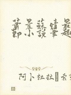 萧晨苏晴最新章节小说笔趣阁