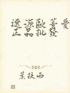 辽源欧蒂爱袜子正品批发