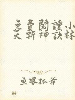 免费阅读小说九天斩神诀林辰封面