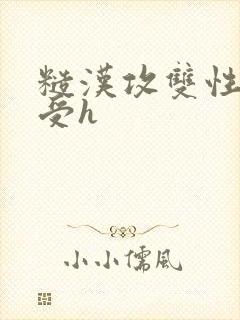 糙汉攻双性美人受h