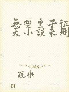 无双皇子征战诸天小说未删版全文