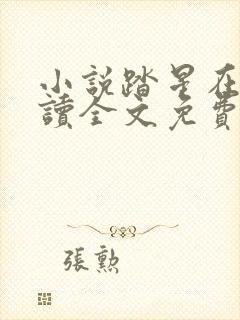 小说踏星在线阅读全文免费