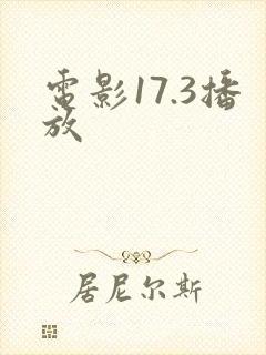 电影17.3播放