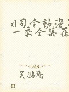 xl司令动漫第一季全集在线观看免费播放动漫封面