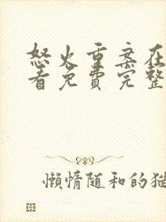 怒火重案在线观看免费完整版封面