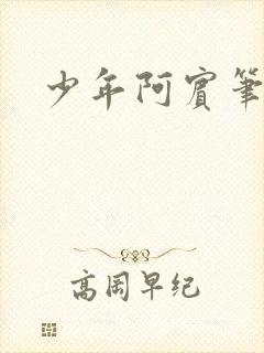 少年阿宾笔趣阁