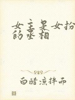 女主是女扮男装的丞相封面