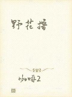 野花撸